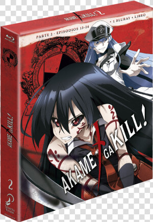 Review De Akame Ga Kill   Akame Ga Kill   HD Png Download