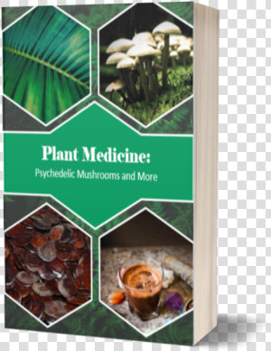 Plant Medicine Houston  Plant Medicine Texas  Plant   Chocolate Bar  HD Png Download