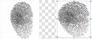 Crime Scene Latent Fingerprints  HD Png Download