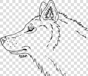 Wolf Line At   Wolf Head Line Drawing  HD Png Download