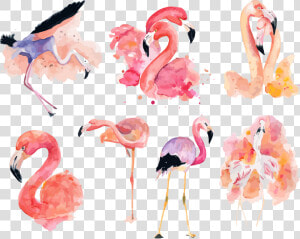 Watercolor Clipart Flamingo   Pink Flamingo Flamingo Clipart  HD Png Download