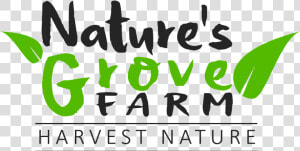 Cropped Natures Grove Farm Logo 3   Calligraphy  HD Png Download