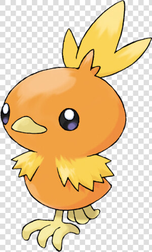 600px 255torchic   Pokemon Torchic  HD Png Download