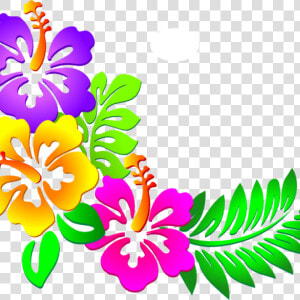 Hawaiian Flower Clipart Hawaiian Flower Clip Art Tropical   Butterfly Corner Border Design  HD Png Download