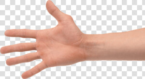 Hands Png Hand Image Png Image   Transparent Hand Png  Png Download