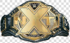 Nxt Championship Png   Nxt Championship Belt 2017  Transparent Png