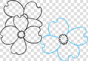 How To Draw Dogwood Flowers   Line Art  HD Png Download