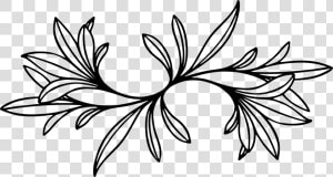 Symmetry monochrome Photography petal   Design Leaves Clip Art  HD Png Download