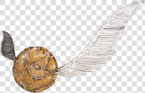 Transparent Golden Snitch Png   Golden Snitch Png  Png Download