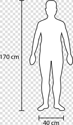 Width And Height Of A Fairly Average Adult   Person In Scale  HD Png Download