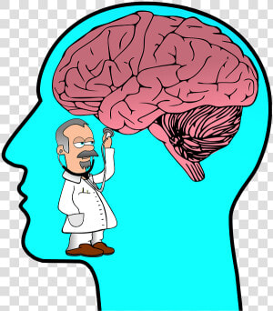 Trauma Brain Vs Learning Brain  HD Png Download