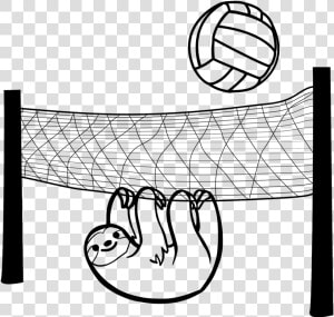 Sloth Volleyball Game Free Photo   Three Toed Sloth Drawing  HD Png Download