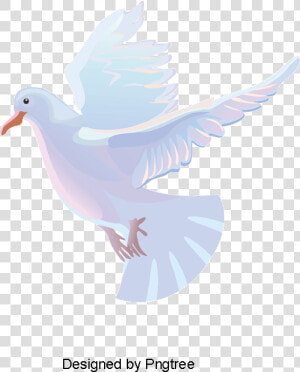 Transparent Paloma Clipart   White Dove Vector Png  Png Download