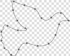 Barb Wire Frame Png  Transparent Png