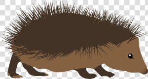 Clipart Hedgehog   Spiky Hedgehog Clipart  HD Png Download