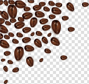 Coffee Bean Cafe Cocoa Bean Clipart   Png Download   Cocoa Beans Illustration Free  Transparent Png