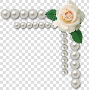  pearl  frame  flowers   Pearl With Flowers Frame Png  Transparent Png