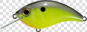 Fishing Lures Png  Transparent Png