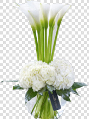 Lily Transparent Vase Png White Calla Lily Arrangements   Calla Lily And Hydrangea  Png Download