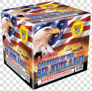 Courtesy Of The Red  White  And Blue   Courtesy Of The Red White And Blue Firework  HD Png Download