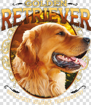 Transparent Golden Retriever Png   Golden Retriever Dog Hd Mobile  Png Download