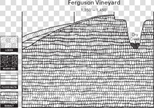 Estate Ferguson Vineyard Illustration   Line Art  HD Png Download