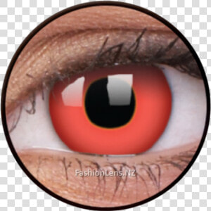 Contact Lenses   Png Download   Contact Lenses  Transparent Png