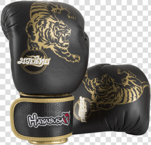 Hayabusa Muay Thai Boxing Gloves  HD Png Download