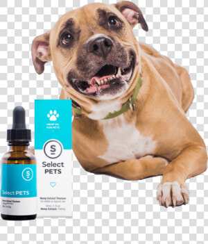 Las Vegas Pet Cbd Tinctures   Select Cbd Pets  HD Png Download