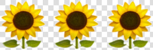 Transparent Girasoles Png   Iphone Sunflower Emoji Png  Png Download