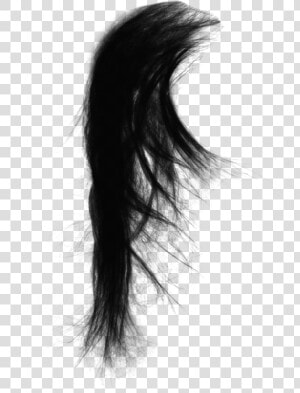 Drawing Capelli Black Hair  HD Png Download