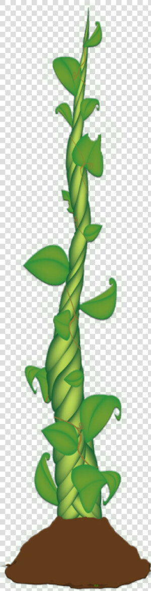 Clipart Leaves Beanstalk   Beanstalk Clipart  HD Png Download