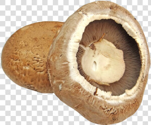 Portobello   Portobello Mushroom Transparent Background  HD Png Download