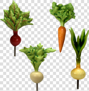 Vegetable Garden Png   Vegetable Patch Peter Rabbit  Transparent Png