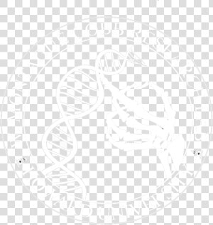 Cobb Seal Clear White  HD Png Download