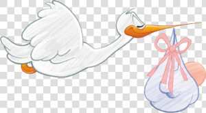 Art shoe duck   Stork Carrying Baby Girl Png  Transparent Png