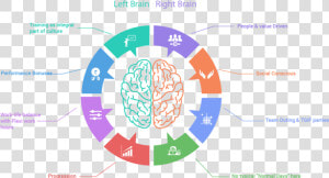 Left Hand Left Brain The Plot Thickens Dana Foundation   Right Brain Clipart Transparent  HD Png Download