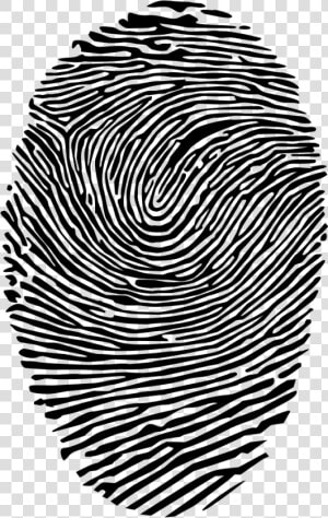 Full Fingerprints Clear Background  HD Png Download