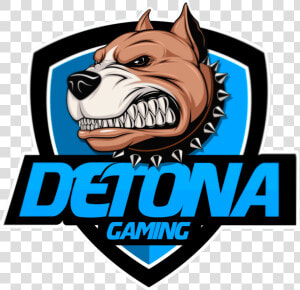 Detona Gaming  HD Png Download