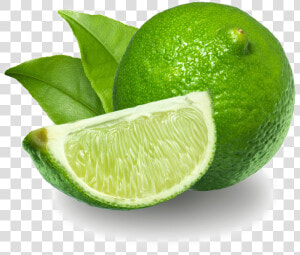 Lime Download Png Image   Lime  png  Transparent Png