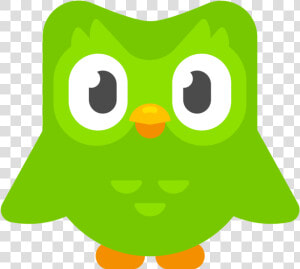 Duo   Nobg   Duolingo Transparent  HD Png Download