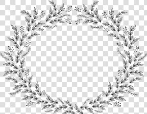 Transparent Circular Border Png   Floral Christmas Border Clipart Black And White  Png Download