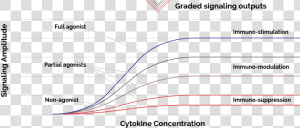 Cytokine Concentration Signaling Amplitute   Plot  HD Png Download