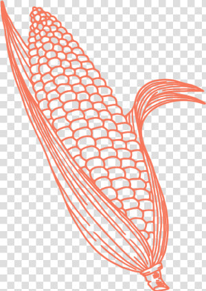 Corn   Corn Vector Pattern  HD Png Download