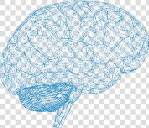 3d Brain Scan Png  Transparent Png