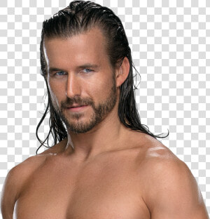 Transparent Adam Cole Png   Adam Cole Png  Png Download