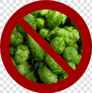 No Hops  HD Png Download