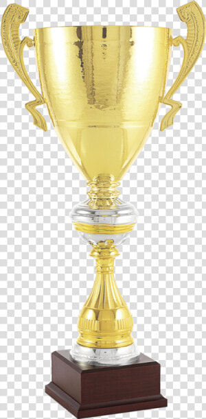 Transparent Trophy Cup Png   Trophy  Png Download