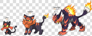 Litten Pokemon Evolution Chart  HD Png Download