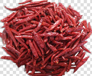 Dry Red Chilli   Png Download   Mathania Red Chilli  Transparent Png